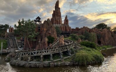 10 Reasons to Use a Travel Agent When Booking Your Next Vacation