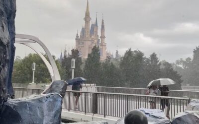 Lori’s Rainy Day Tips